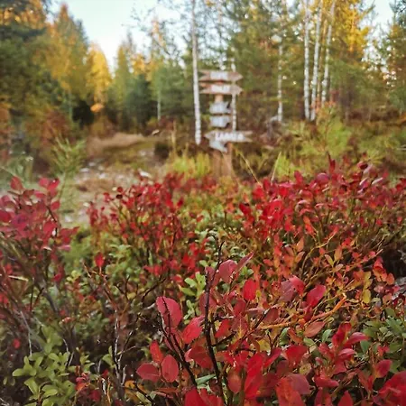 Hidden Island Laukanharju Glamping Savonlinna