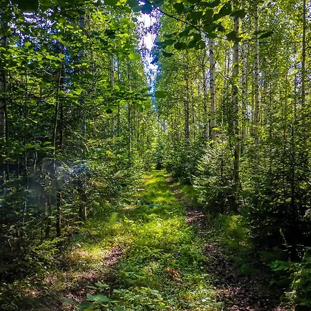 Lyxtält Hidden Island Laukanharju Glamping Nyslott