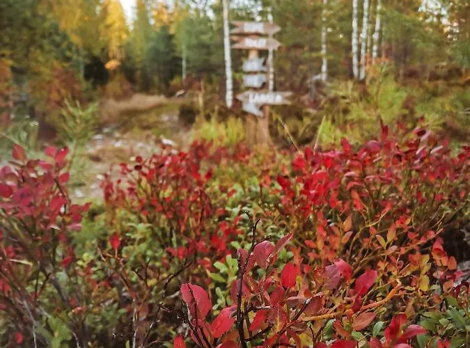 Hidden Island Laukanharju Glamping سافونلينّا