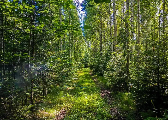 Lüks kamp alanı Hidden Island Laukanharju Glamping Savonlinna